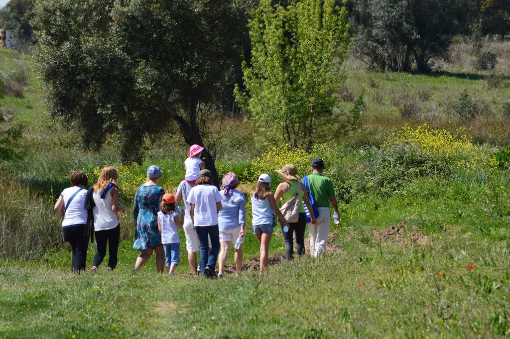 Monte Chalaca - Turismo Rural Ferreira Do Alentejo Εξωτερικό φωτογραφία